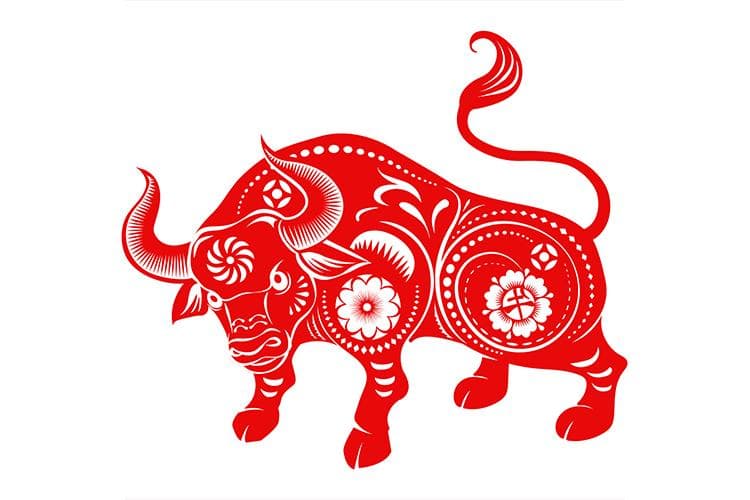 Tết Tân Sửu 2021 cùng gia đình FAMA