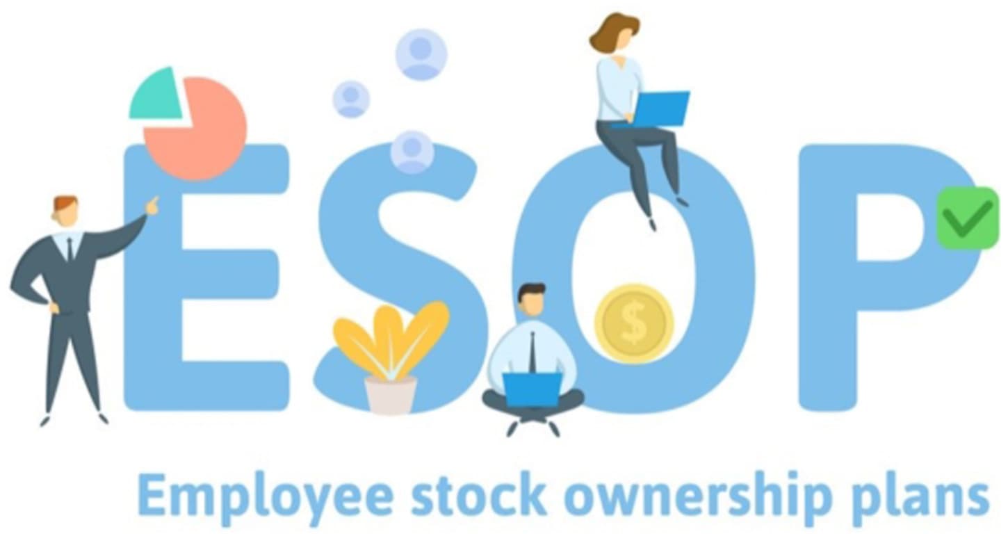 Tuyển người giỏi, góp vốn và Cộng sự,